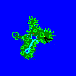 (Nova) Deformed Donkey Lake